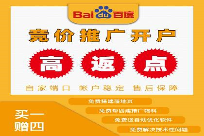 行业专家解析SEM代运营成功案例